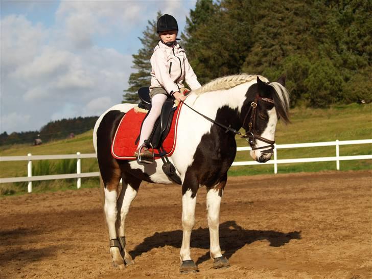 En Børnevenlig pony <3  billede 6
