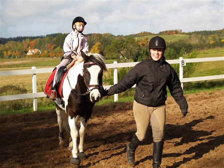 En Børnevenlig pony <3  billede 7