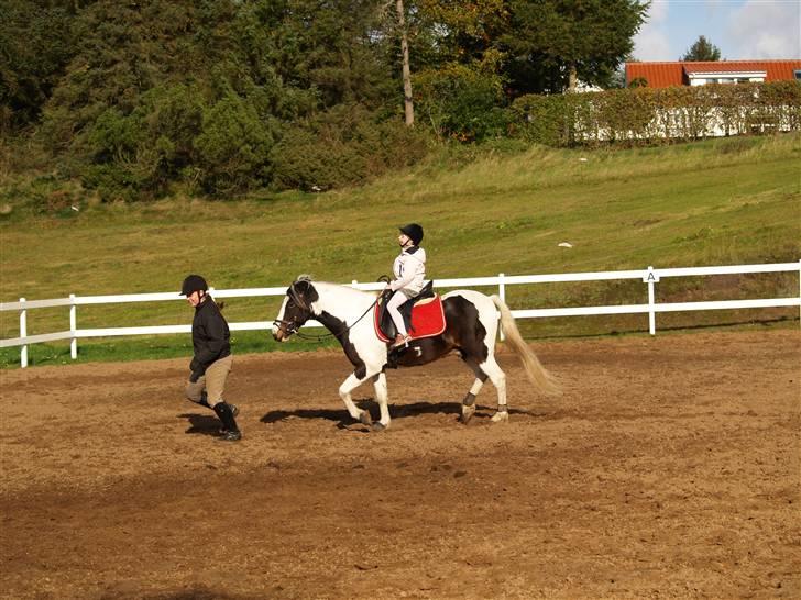 En Børnevenlig pony <3  billede 8