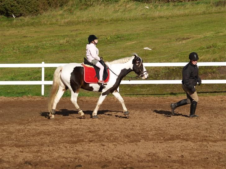 En Børnevenlig pony <3  billede 9