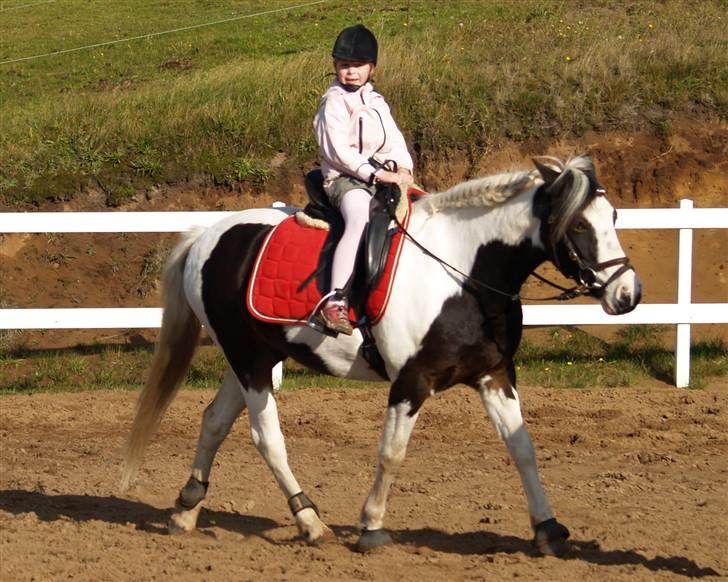 En Børnevenlig pony <3  billede 10