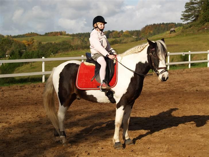 En Børnevenlig pony <3  billede 12