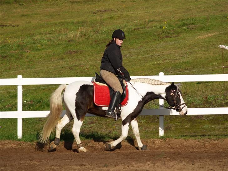 En Børnevenlig pony <3  billede 17