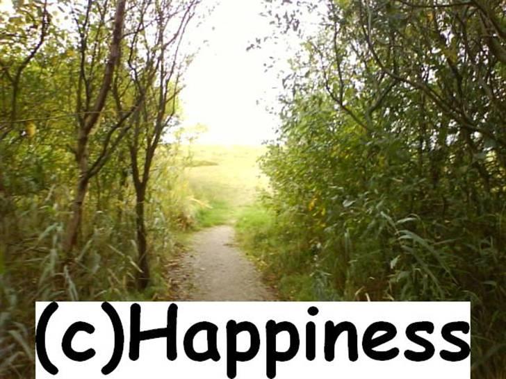 Logo baggrunde til Nh ! (Nethorse) - Nr. 2 billede 2