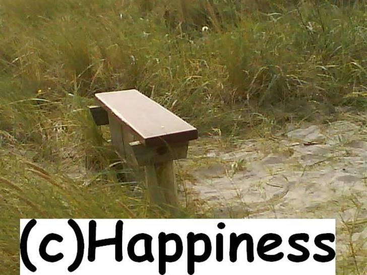 Logo baggrunde til Nh ! (Nethorse) - Nr. 3 billede 3