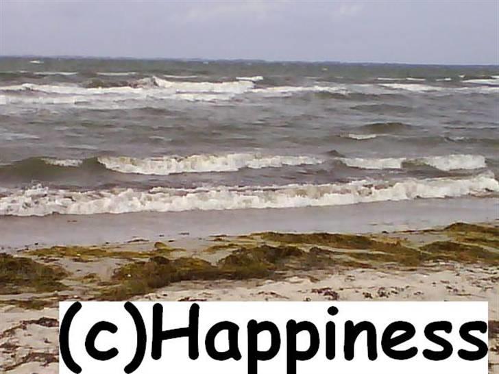 Logo baggrunde til Nh ! (Nethorse) - Nr. 5 billede 5