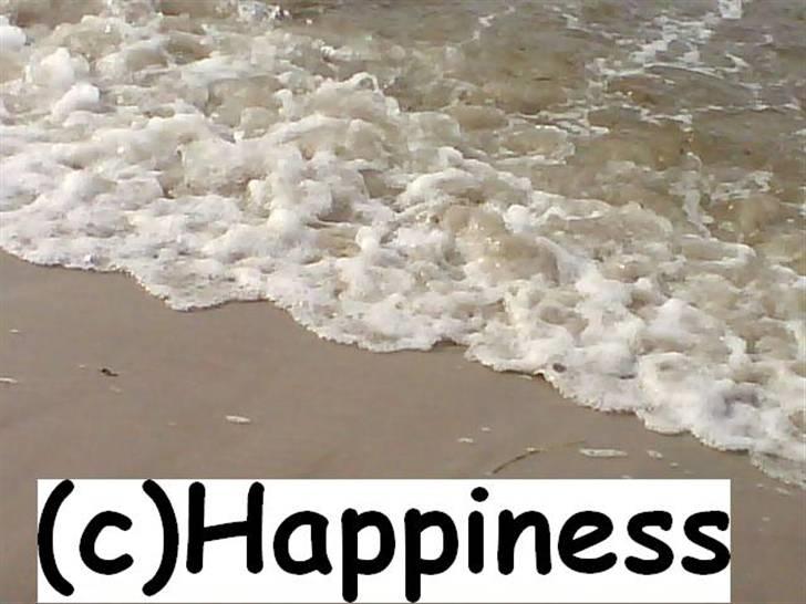 Logo baggrunde til Nh ! (Nethorse) - Nr. 6 billede 6