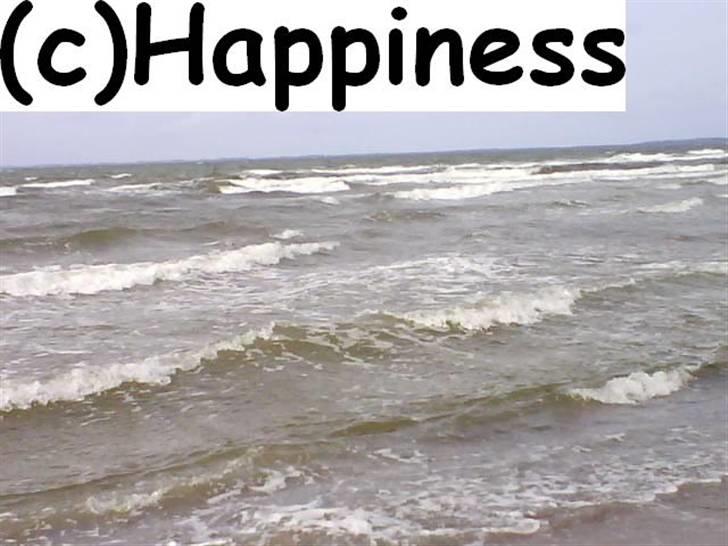 Logo baggrunde til Nh ! (Nethorse) - Nr. 7 billede 7