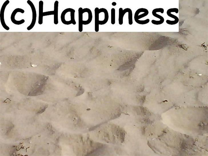 Logo baggrunde til Nh ! (Nethorse) - Nr. 9 billede 9