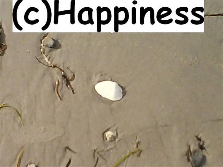 Logo baggrunde til Nh ! (Nethorse) - Nr. 10 billede 10