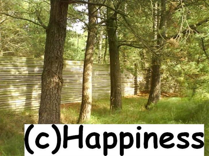 Logo baggrunde til Nh ! (Nethorse) - Nr. 16 billede 16