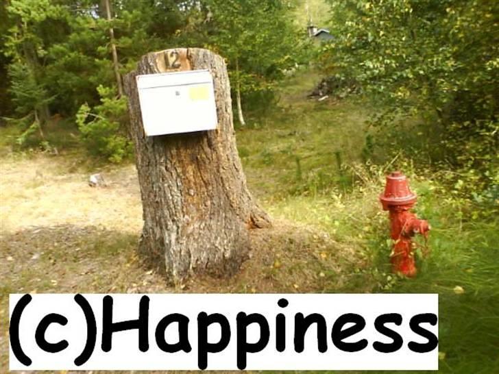 Logo baggrunde til Nh ! (Nethorse) - Nr. 18 billede 18