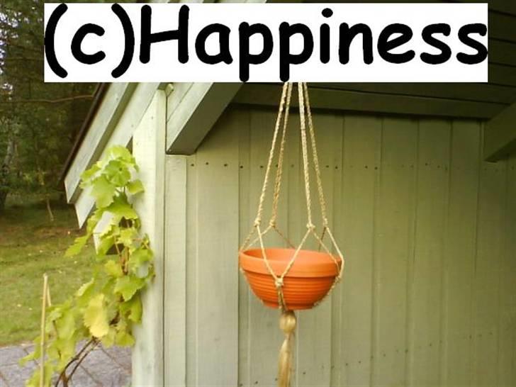 Logo baggrunde til Nh ! (Nethorse) - Nr. 29 billede 29