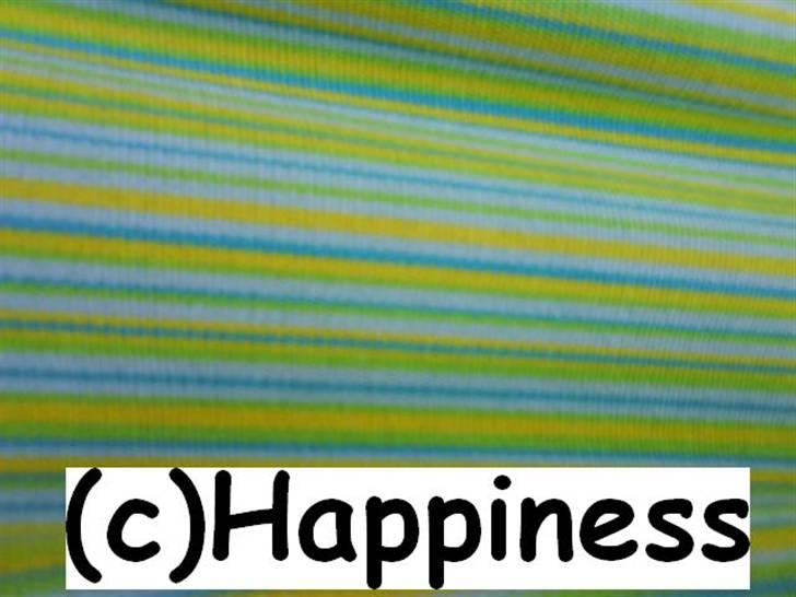 Logo baggrunde til Nh ! (Nethorse) - Nr. 31 billede 31