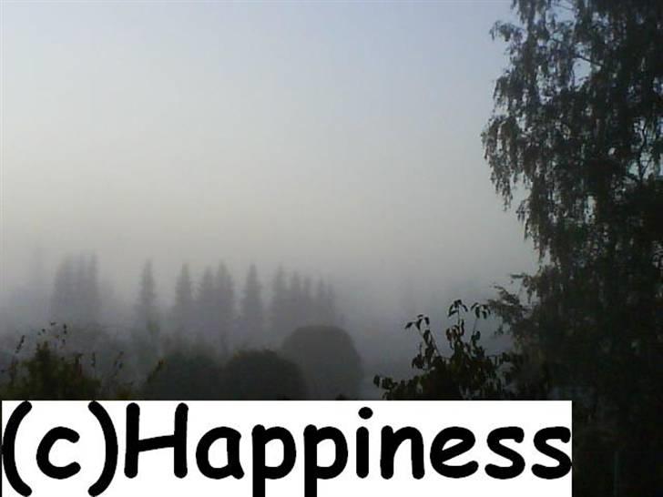 Logo baggrunde til Nh ! (Nethorse) - Nr. 32 billede 32