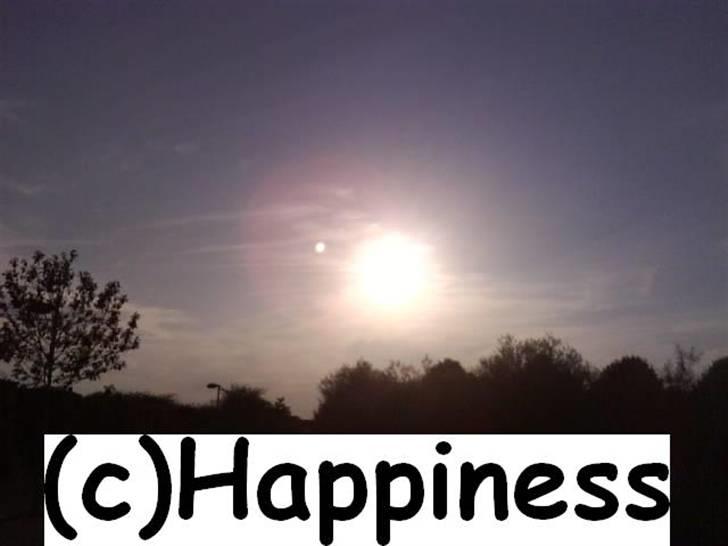 Logo baggrunde til Nh ! (Nethorse) - Nr. 33 billede 33