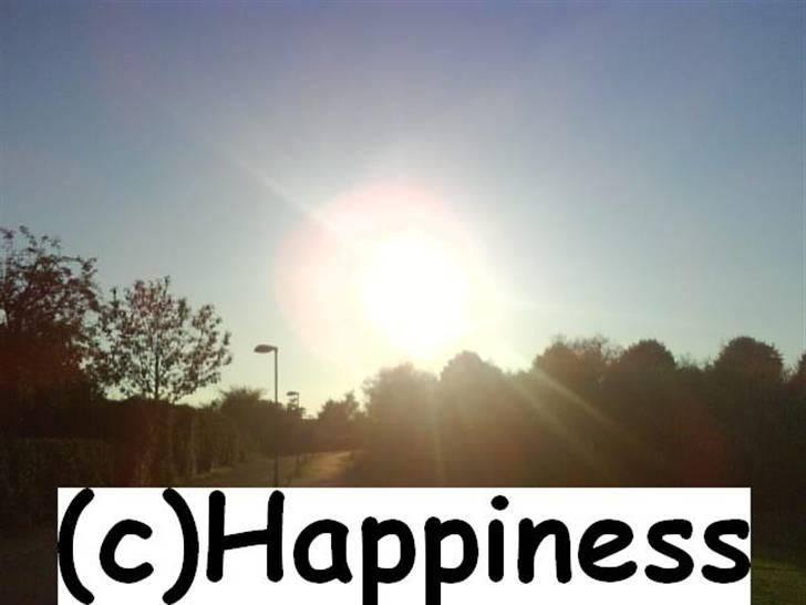 Logo baggrunde til Nh ! (Nethorse) - Nr. 34 billede 34