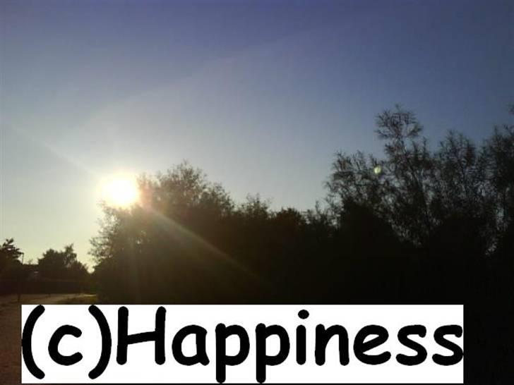 Logo baggrunde til Nh ! (Nethorse) - Nr. 35 billede 35