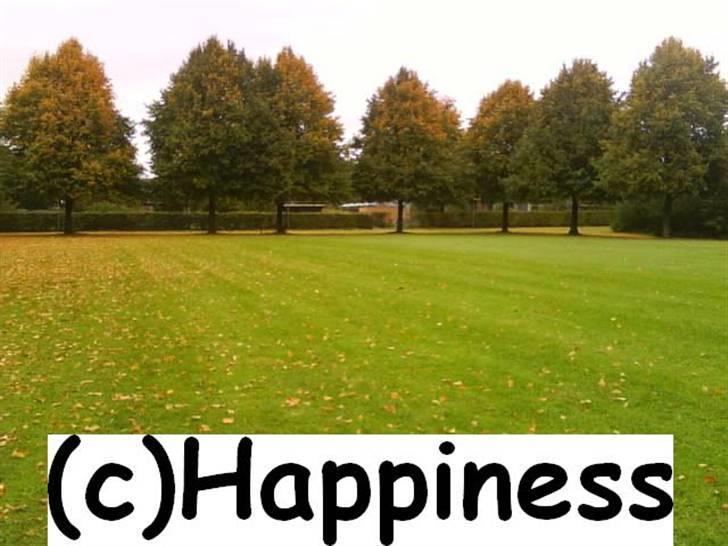 Logo baggrunde til Nh ! (Nethorse) - Nr. 38 billede 38