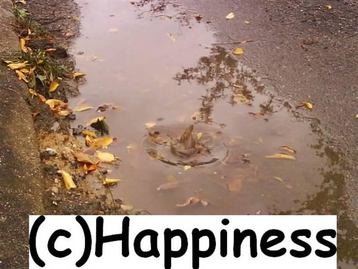 Logo baggrunde til Nh ! (Nethorse) - Nr. 48 billede 48