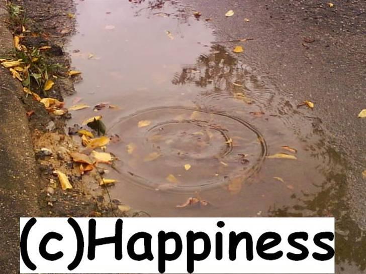 Logo baggrunde til Nh ! (Nethorse) - Nr. 49 billede 49