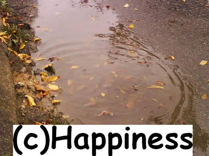 Logo baggrunde til Nh ! (Nethorse) - Nr. 50 billede 50