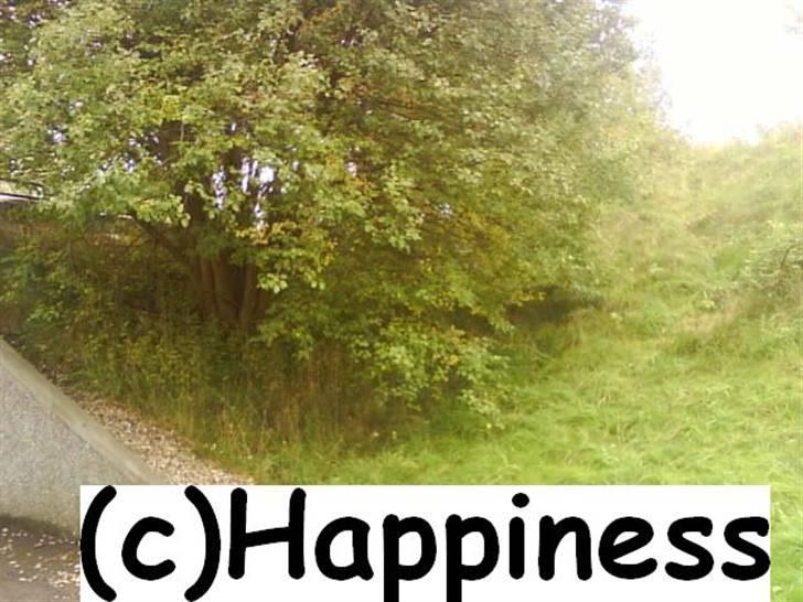 Logo baggrunde til Nh ! (Nethorse) - Nr. 54 billede 54