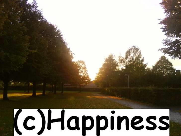 Logo baggrunde til Nh ! (Nethorse) - Nr. 59 billede 59