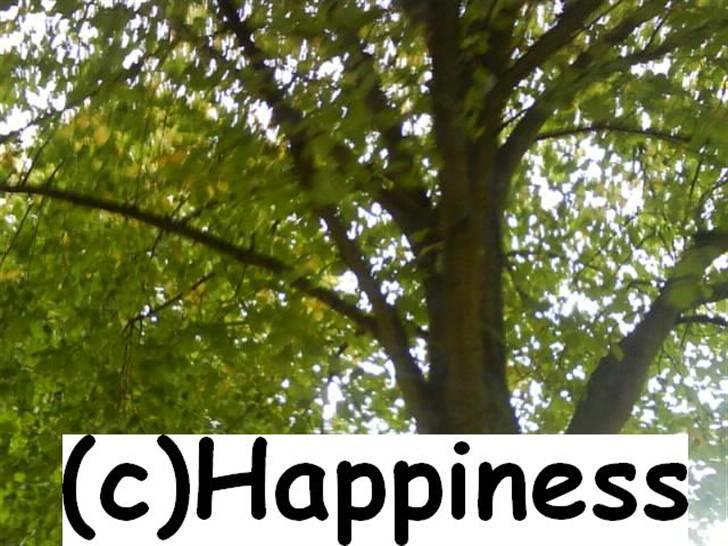 Logo baggrunde til Nh ! (Nethorse) - Nr. 61 billede 61