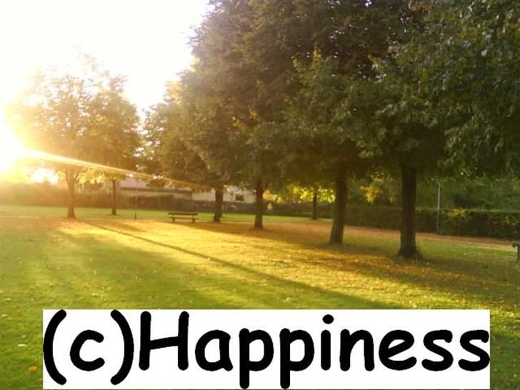 Logo baggrunde til Nh ! (Nethorse) - Nr. 62 billede 62