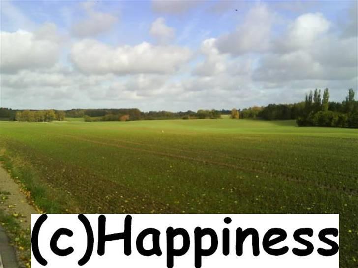 Logo baggrunde til Nh ! (Nethorse) - Nr. 64 billede 64