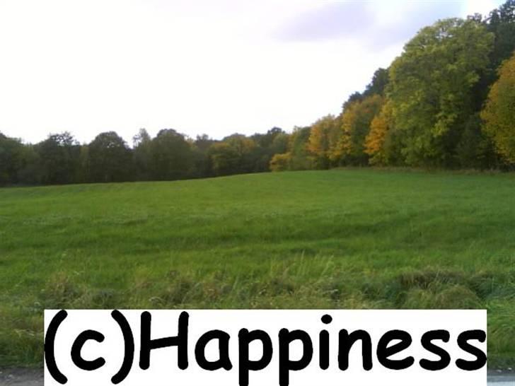 Logo baggrunde til Nh ! (Nethorse) - Nr. 65 billede 65