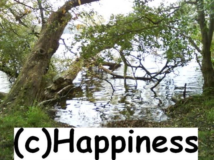 Logo baggrunde til Nh ! (Nethorse) - Nr. 66 billede 66