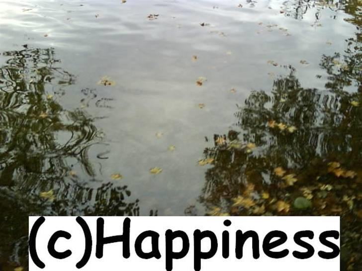 Logo baggrunde til Nh ! (Nethorse) - Nr. 67 billede 67