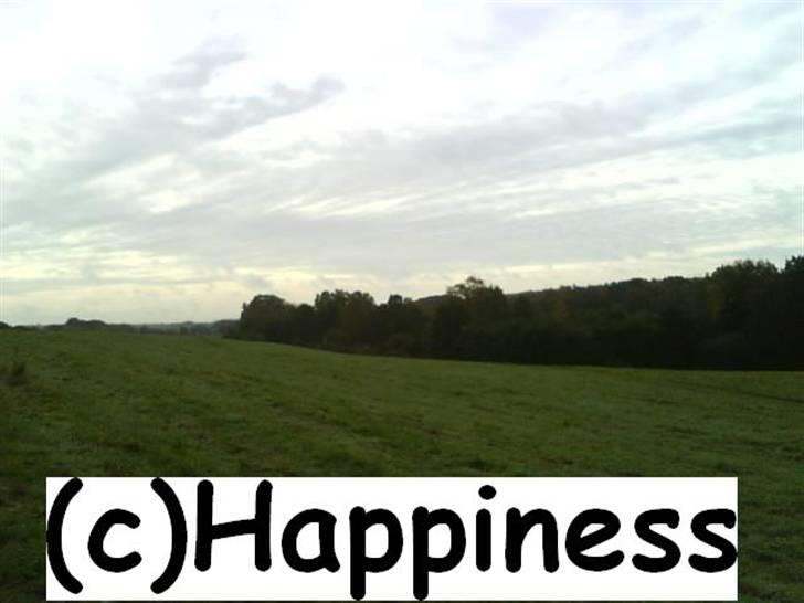 Logo baggrunde til Nh ! (Nethorse) - Nr. 68 billede 68