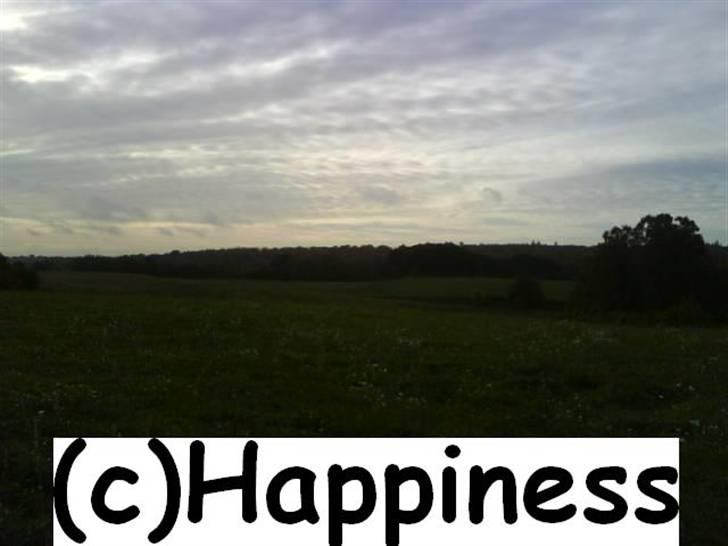 Logo baggrunde til Nh ! (Nethorse) - Nr. 69 billede 69