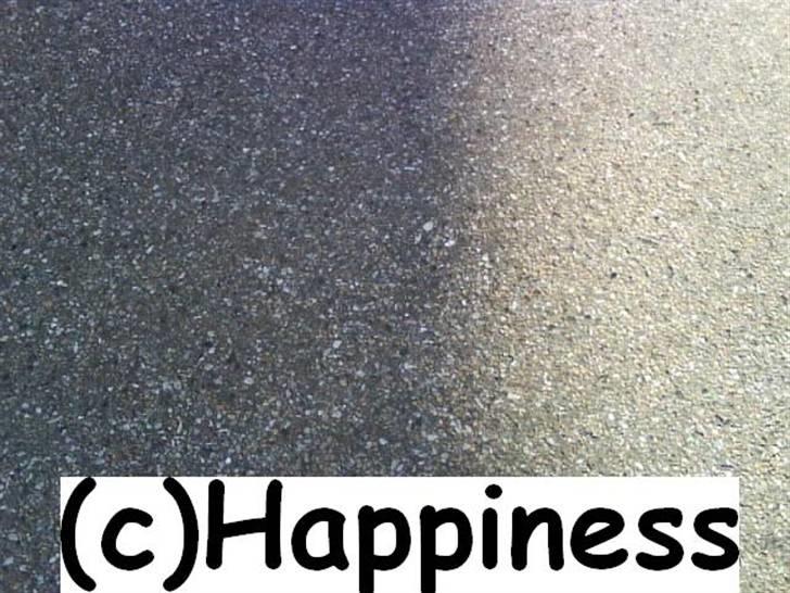 Logo baggrunde til Nh ! (Nethorse) - Nr. 70 billede 70