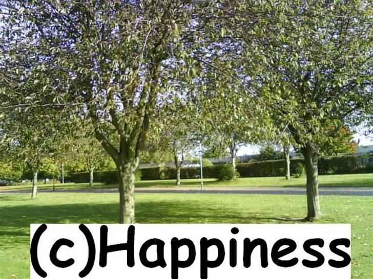 Logo baggrunde til Nh ! (Nethorse) - Nr. 73 billede 73