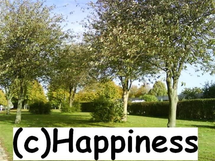 Logo baggrunde til Nh ! (Nethorse) - Nr. 74 billede 74