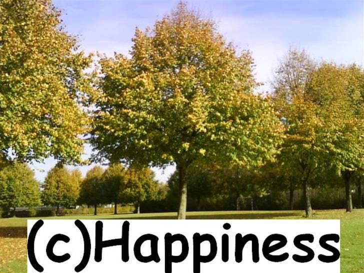 Logo baggrunde til Nh ! (Nethorse) - Nr. 75 billede 75