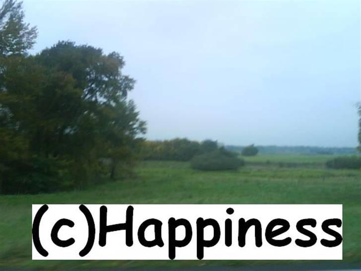 Logo baggrunde til Nh ! (Nethorse) - Nr. 79 billede 79