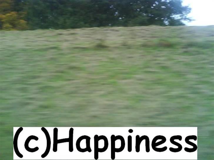 Logo baggrunde til Nh ! (Nethorse) - Nr. 80 billede 80