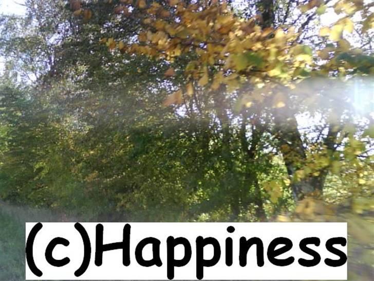 Logo baggrunde til Nh ! (Nethorse) - Nr. 81 billede 81