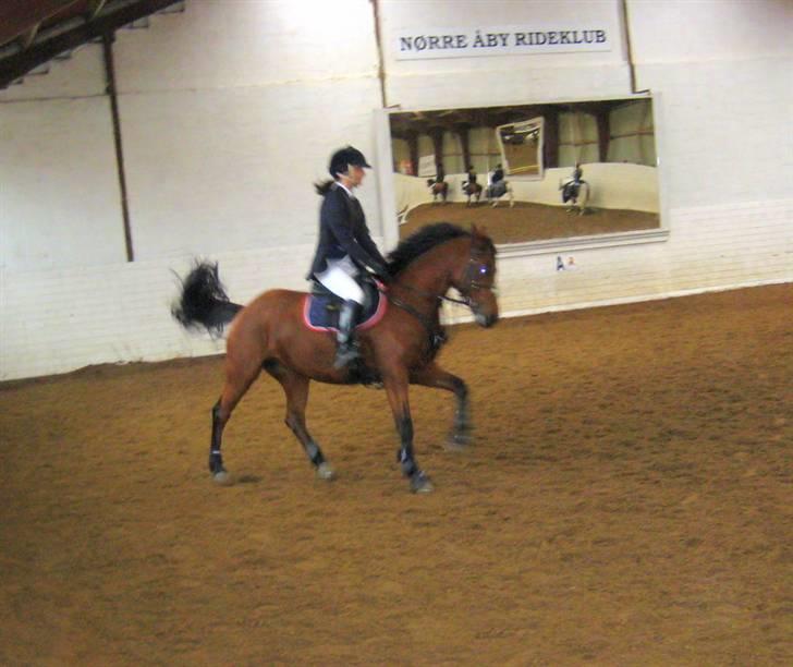 Nørre Aaby Rideklub d.11- 12/10 - 2008 billede 3