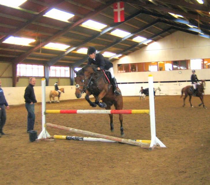 Nørre Aaby Rideklub d.11- 12/10 - 2008 billede 4