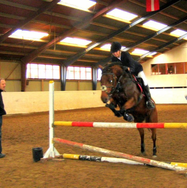 Nørre Aaby Rideklub d.11- 12/10 - 2008 billede 5