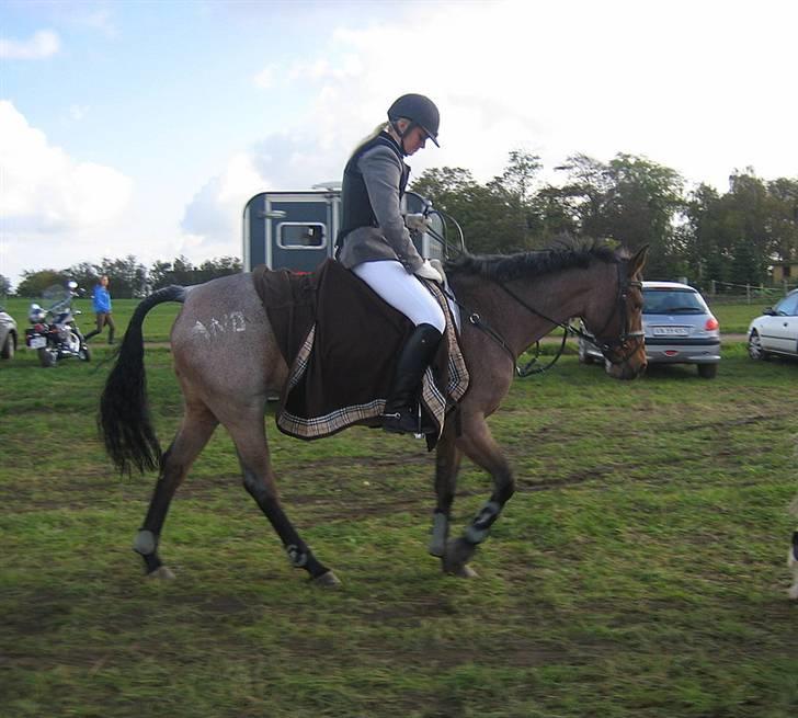 Nørre Aaby Rideklub d.11- 12/10 - 2008 billede 7