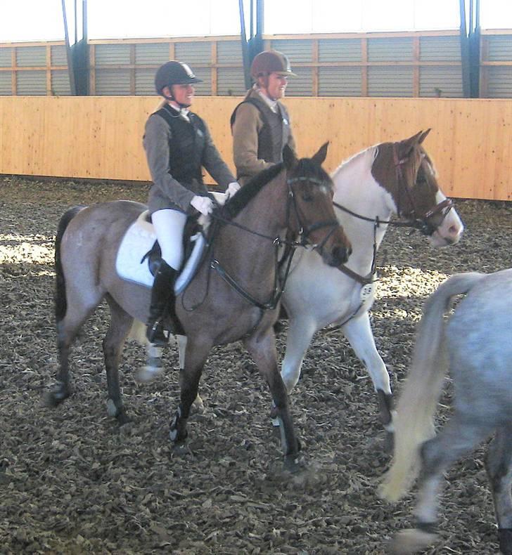 Nørre Aaby Rideklub d.11- 12/10 - 2008 billede 8