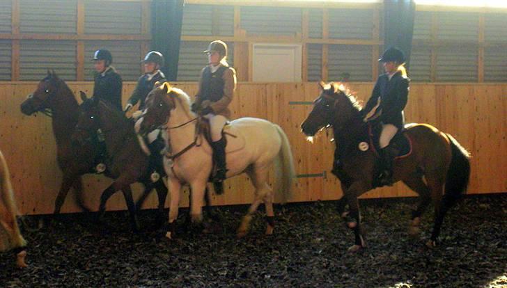 Nørre Aaby Rideklub d.11- 12/10 - 2008 billede 9