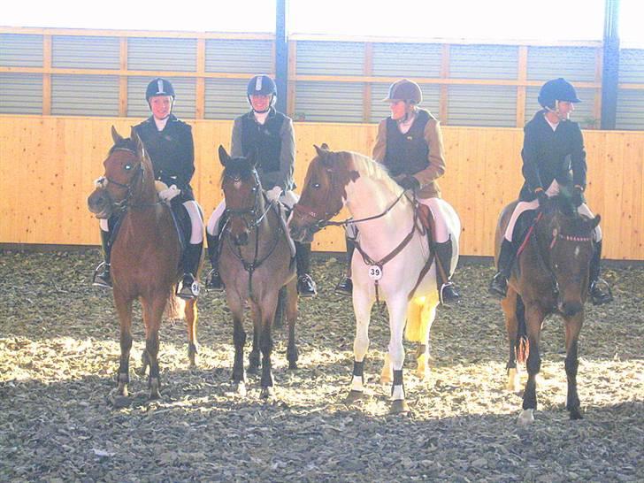 Nørre Aaby Rideklub d.11- 12/10 - 2008 billede 10